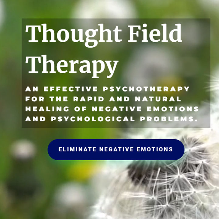 Thought-Field-Therapy-TFT-Training-Course-by-Fern-Wolf